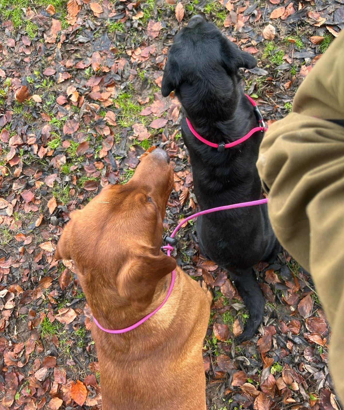 6mm slip lead - prototype